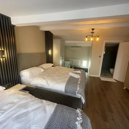 Apartment Golden Arrow Delüx Dublex Istanbul