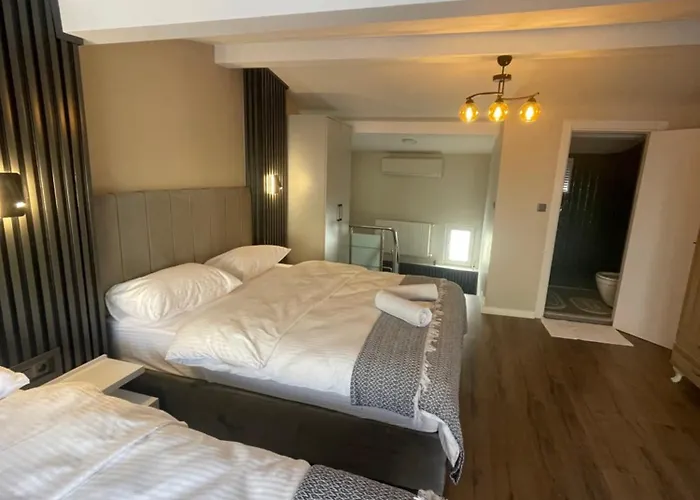 Apartment Golden Arrow Delüx Dublex Istanbul