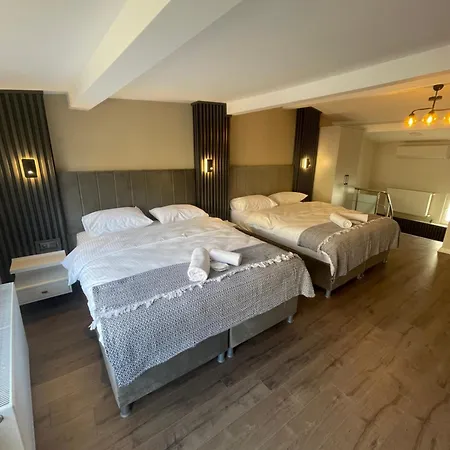 Golden Arrow Deluex Dublex Lägenhet Istanbul